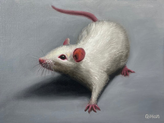 Whimsical Whiskers | Original Oil Painting