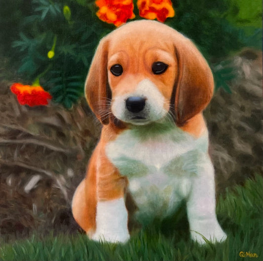 puppy oil painting by Qi Han'